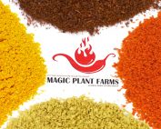 Chili Pepper Powder