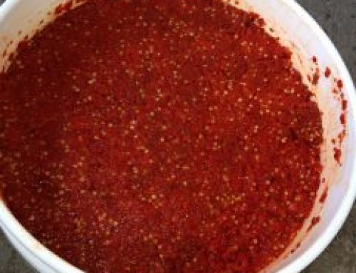Bottling Your Own Carolina Reaper Hot Sauce