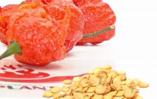 Carolina Reaper Seeds
