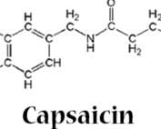 Capsaicin