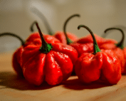 carolina reaper peppers uses