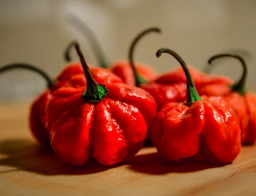 5 Uses for Carolina Reaper Peppers Online