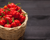 Scorpion Pepper