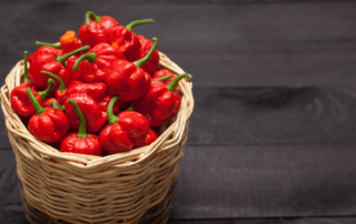 Scorpion Pepper