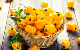 Habanero Peppers Online