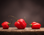 orange habanero
