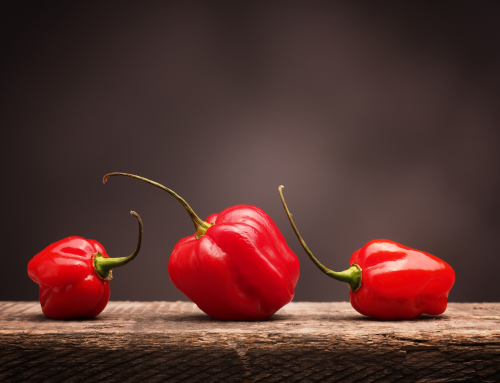 Getting To Know The Habanero Pepper