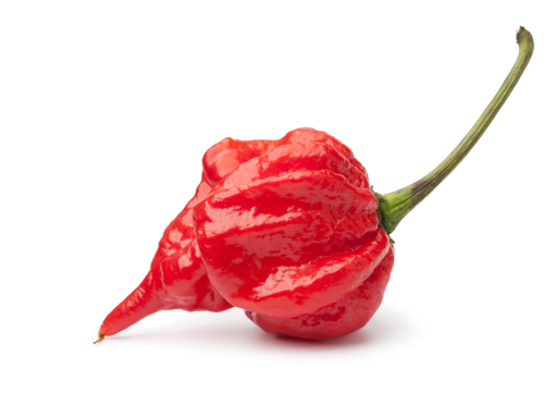 How To Use Scorpion Pepper Products To Spice Up Your Dishes