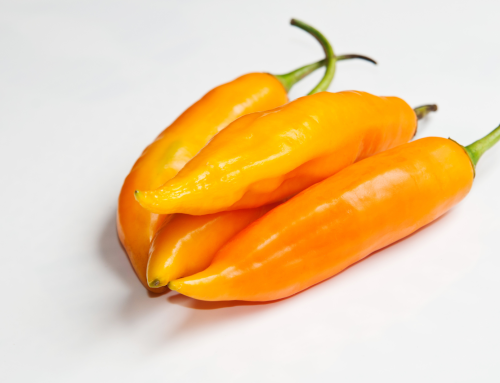 Liven Up Any Dish With The Aji Amarillo Pepper