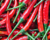 cayenne pepper nutrition facts
