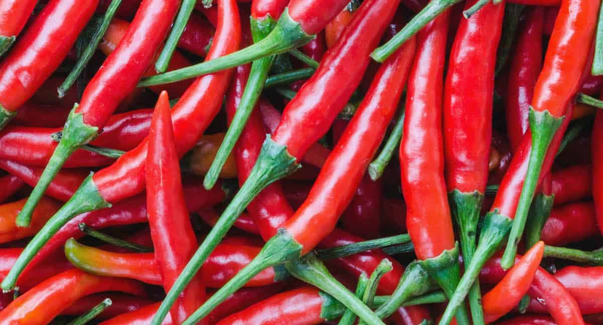 cayenne pepper nutrition facts