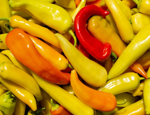 Yellow Aji Peppers Supply Solutions For Discerning Food Companies