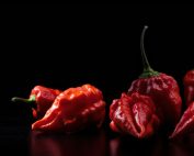 guajillo