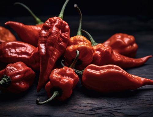 Ghost Pepper vs. Carolina Reaper: Which Superhot Pepper Packs the Right Punch for Your Product Line?