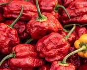 dried carolina reaper