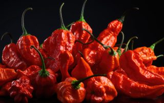 buy bulk ghost pepper powder