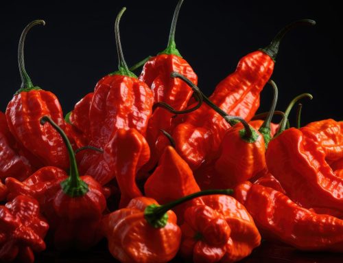 Buy Bulk Ghost Pepper Powder: Essential Tips for Hot Sauce Manufacturers
