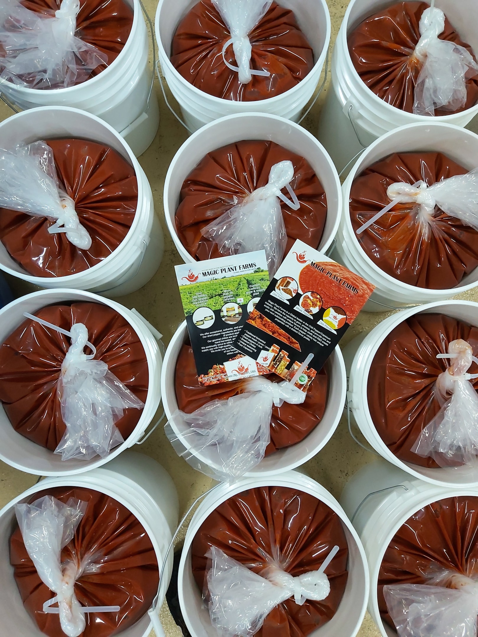 Magic Plant Farms fermented pepper mash that has unique flavor