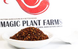 chipotle morita flakes