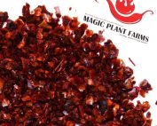 why are aleppo pepper flakes the go to choice for mild flavor forward heat