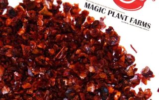 why are aleppo pepper flakes the go to choice for mild flavor forward heat