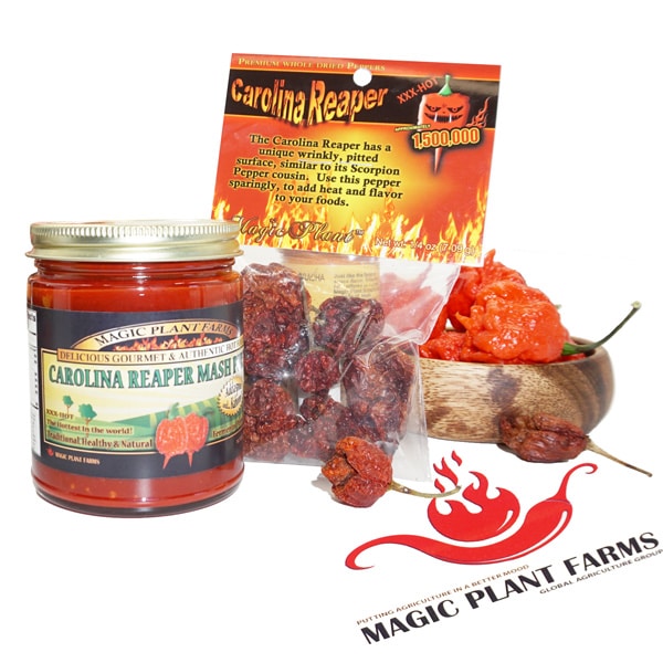 Dried Carolina Reaper pods
