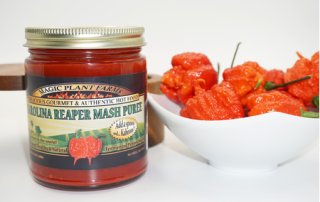 carolina reaper peppers, carolina reaper mason jar